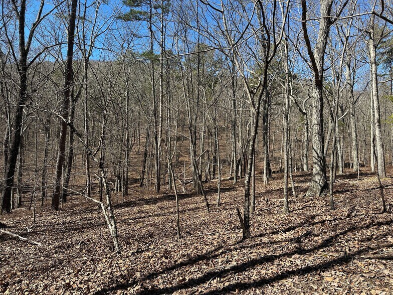 More Photos Of 3472 Prior Station Rd, Cedartown Land For Sale