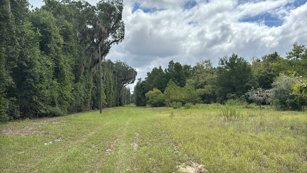 More Photos Of 7707 Holden Park Rd, Hawthorne Land For Sale