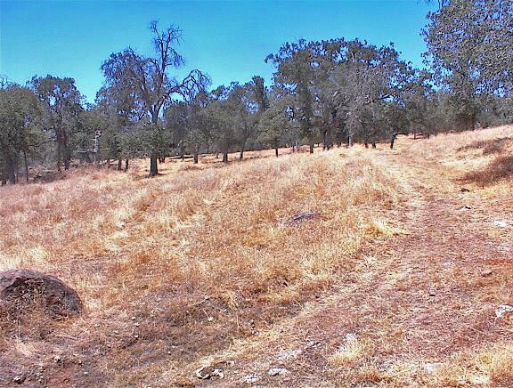 More Photos Of 38176 Cardinal, Yokuts Valley Land For Sale