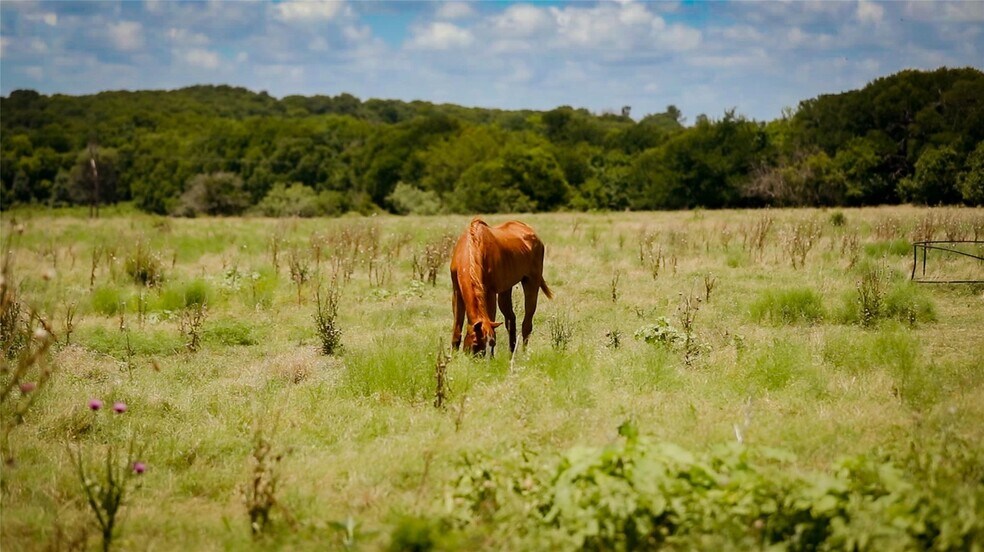 More Photos Of 5158 FM 308, Milford Land For Sale