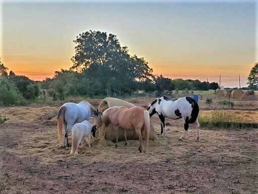 More Photos Of 6514 W US Highway 190, Belton Land For Sale