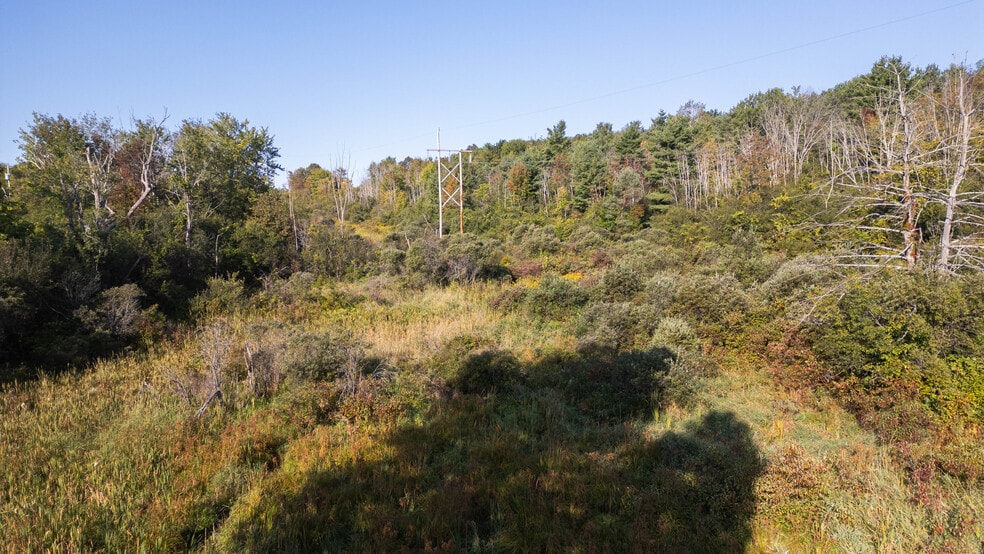 More Photos Of 219 Mudge rd, Delanson Land For Sale