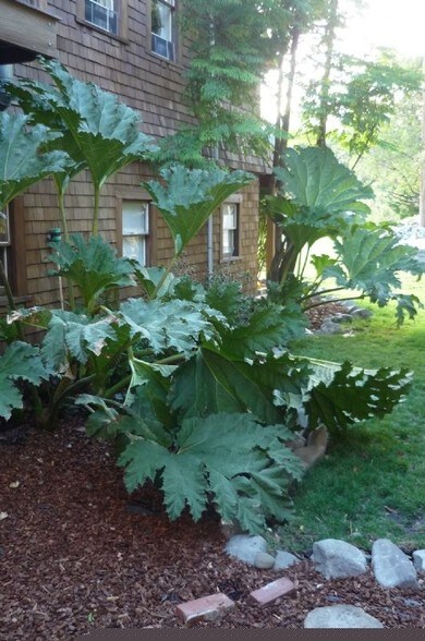 More Photos Of 12901 Avenue of the Giants St, Myers Flat Hospitality For Sale