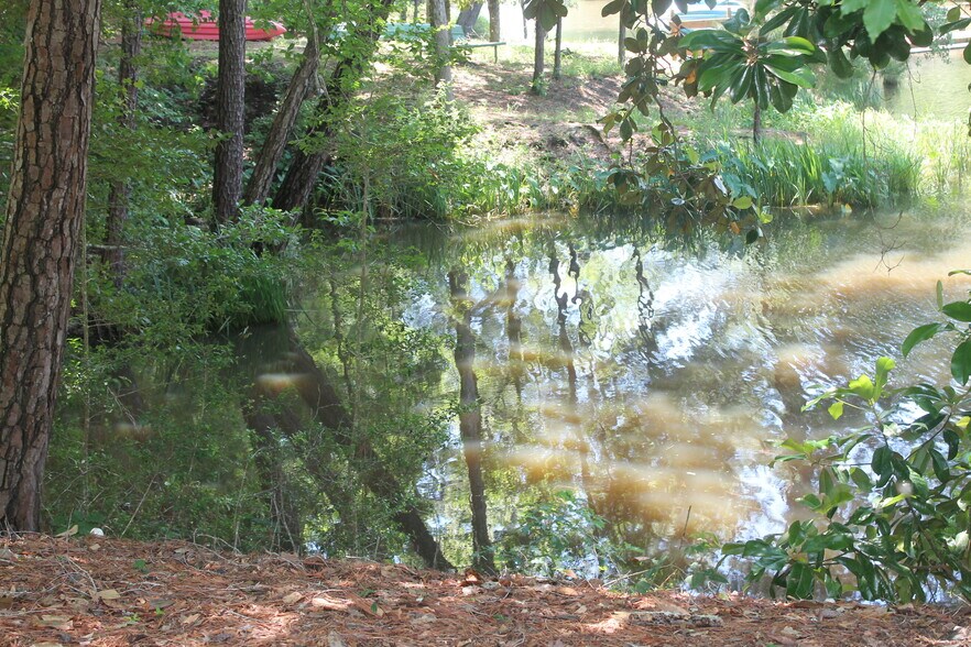 More Photos Of 248 WOODSY Holw, Goodrich Land For Sale
