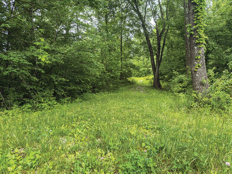 More Photos Of 2475 W County Road 1050 S, Cloverdale Land For Sale