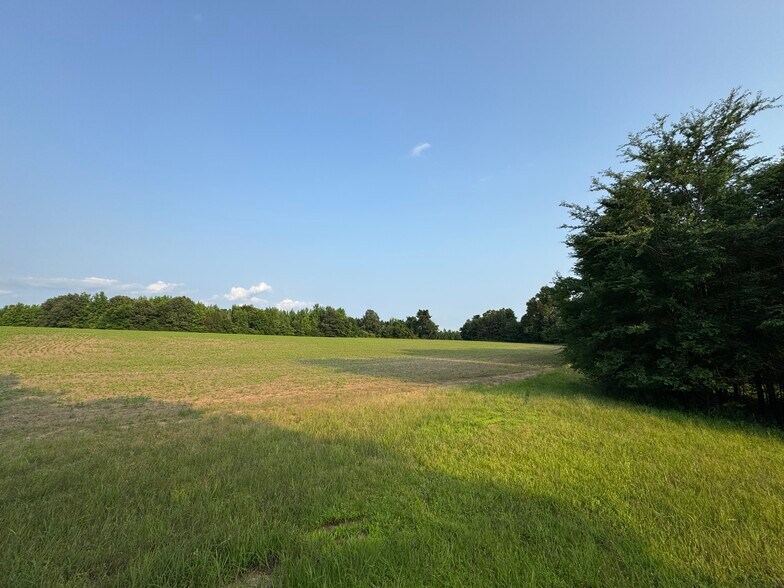More Photos Of 2174 Frazier Road, Rossville Land For Sale