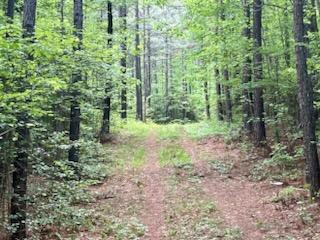 More Photos Of TBD Courthouse Rd, Sutherland Land For Sale