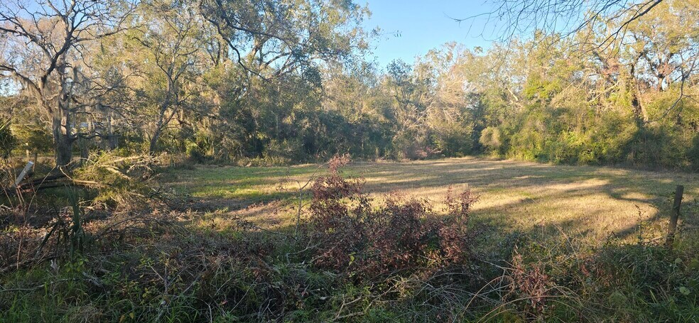 More Photos Of 4501 Clewis Ave, Tampa Land For Sale