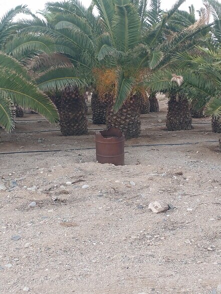 More Photos Of 2941 S Franhi Rd, Littlefield Land For Sale