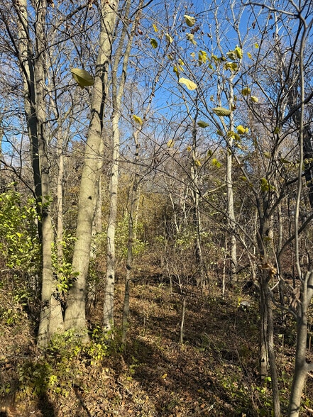 More Photos Of 4305 PLEASANT CENTER Rd, Yoder Land For Sale