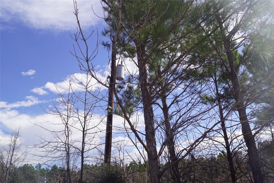 More Photos Of 488 Kelley Rd, Bastrop Land For Sale