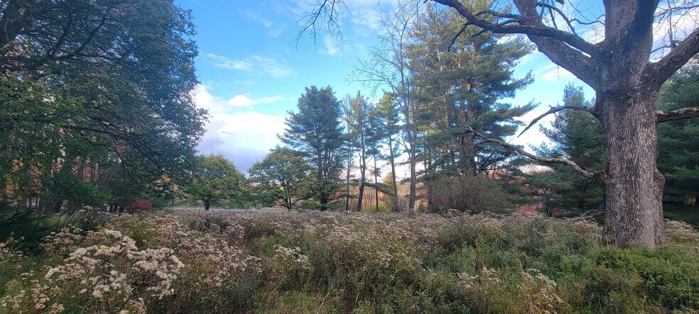 More Photos Of 1195 State Route 17B, Bethel Land For Sale