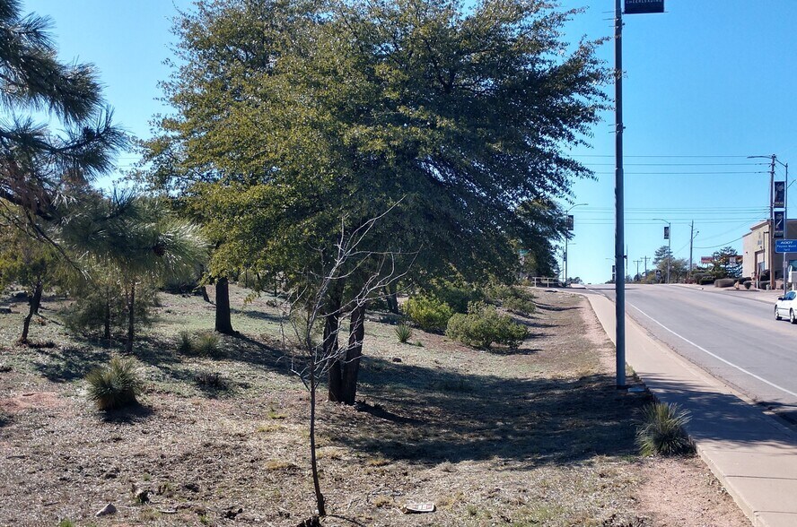 More Photos Of 201 W Longhorn Rd, Payson Land For Sale