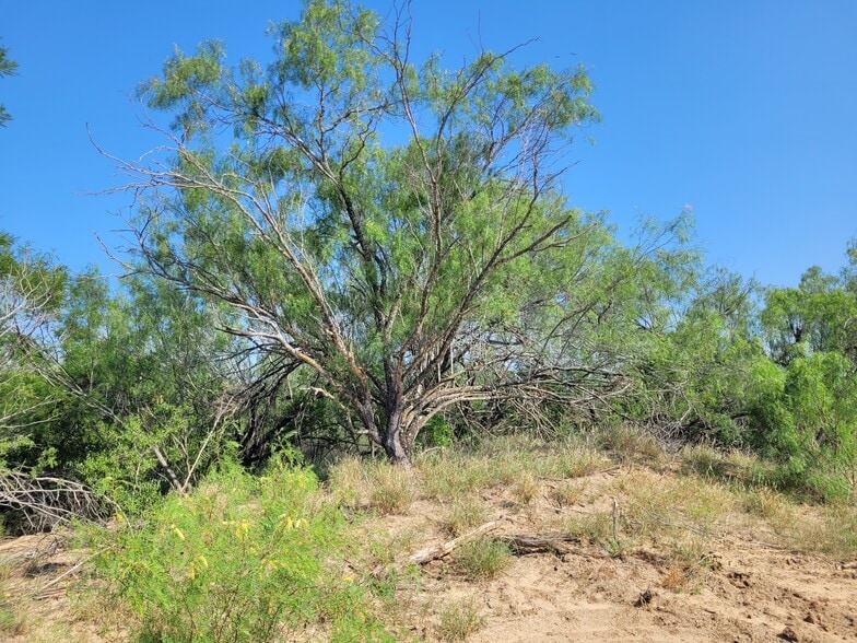 More Photos Of , Laredo Land For Sale