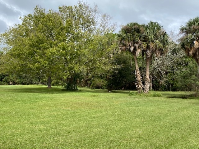 More Photos Of 95008 Frank Ward -1, Fernandina Beach Land For Sale
