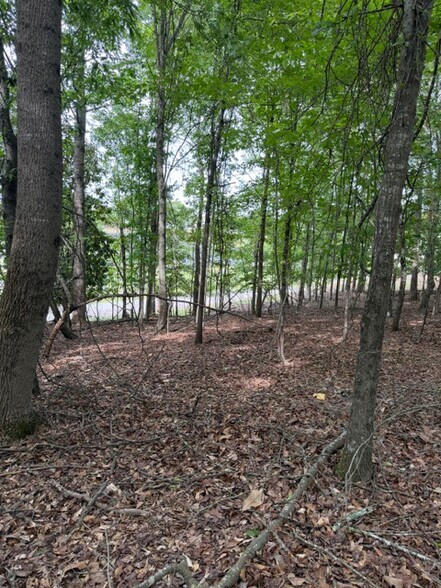 More Photos Of 357 Linwood dr, Gainesville Land For Sale