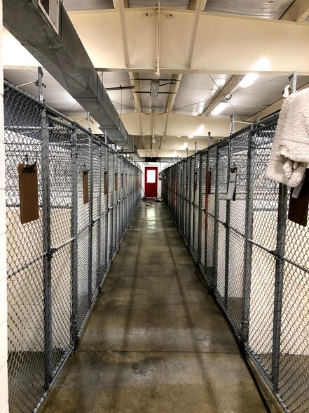 More Photos Of , Derby Unknown For Sale