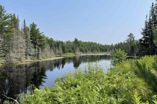 More Photos Of 26497 US-41, Covington Flex For Sale