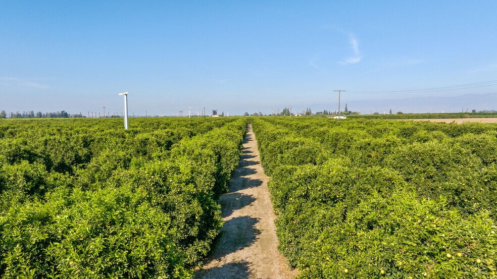 More Photos Of 1435 Palm dr, Exeter Land For Sale