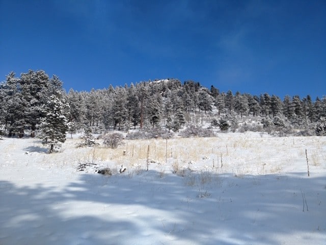 Primary Photo Of 62430 US Highway 285, Bailey Land For Sale