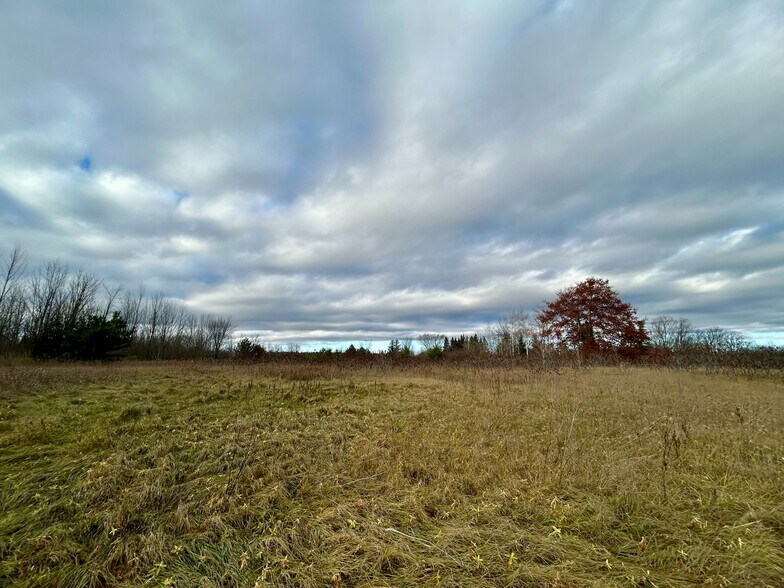 More Photos Of 4056 Horseshoe Valley Rd W, Minesing Land For Sale