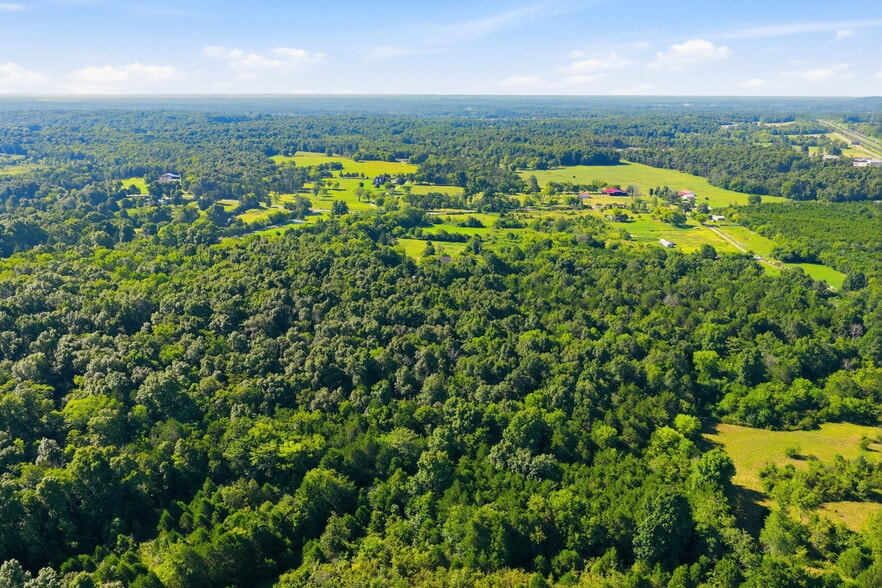 More Photos Of 4681 Joe Peay Rd, Spring Hill Land For Sale