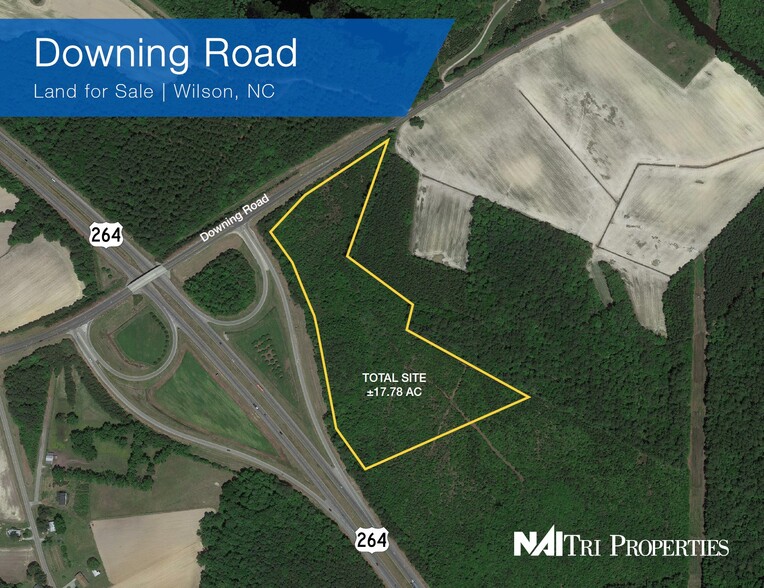 Primary Photo Of Downing @ US-264, Wilson Land For Sale