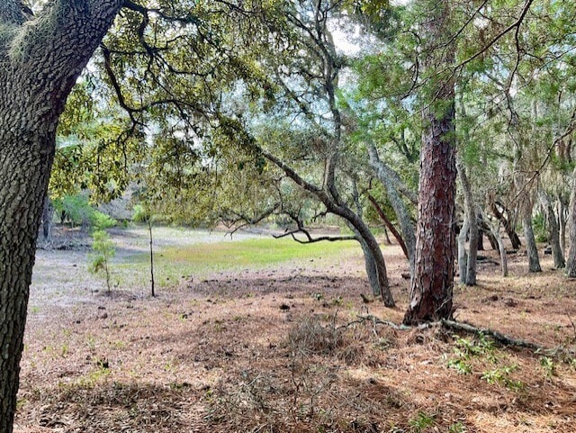 More Photos Of 5031 Lisk Ln, Lake Wales Land For Sale
