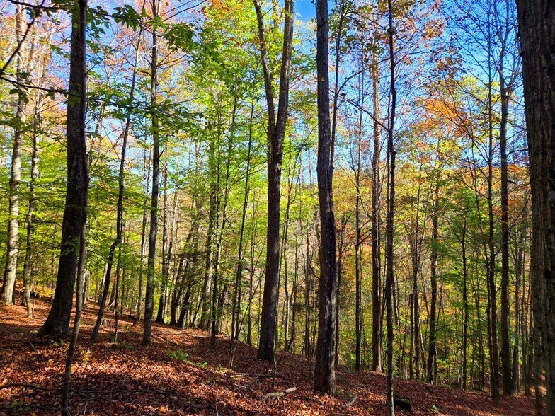 More Photos Of 0 Old Pluto Rd, Shady Spring Land For Sale