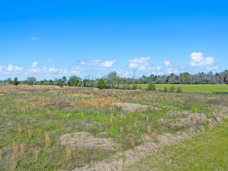 More Photos Of 33951 Lee Rd, Robertsdale Land For Sale