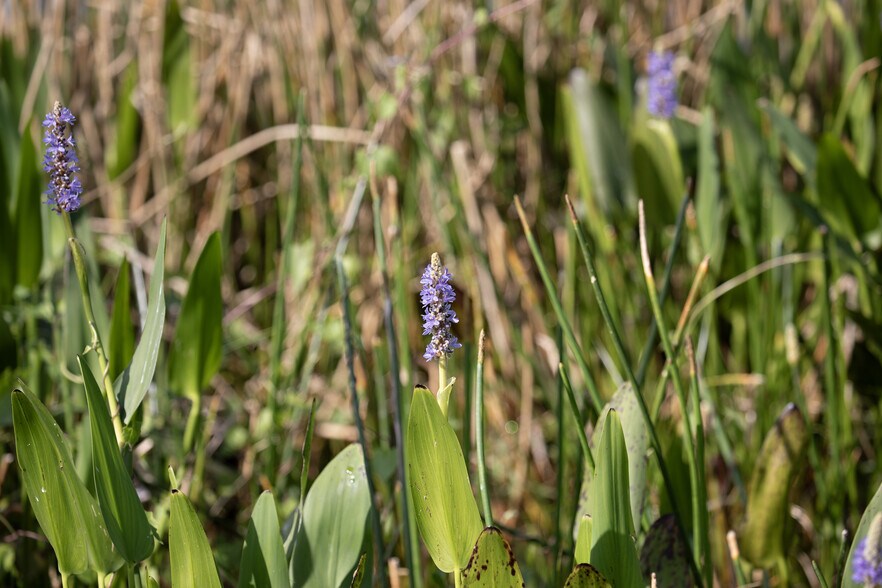 More Photos Of 4020 Country Club rd, Winter Haven Land For Sale