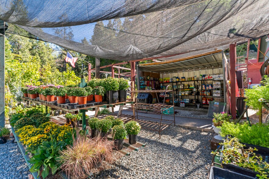 More Photos Of 303 CA-173 Hwy, Lake Arrowhead Garden Center For Sale