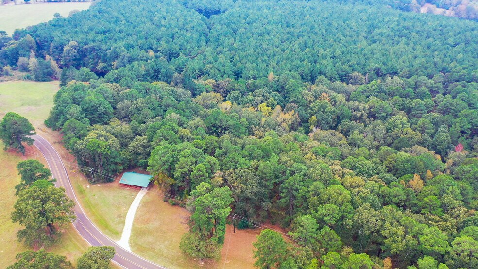 More Photos Of 5015 FM 561, Simms Land For Sale