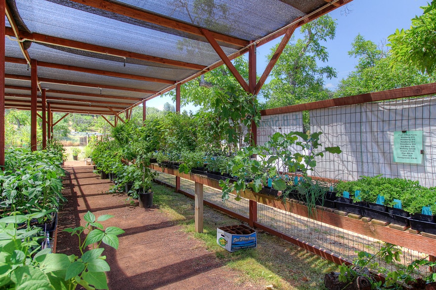 More Photos Of 3360 Old Highway 53, Clearlake Garden Center For Sale