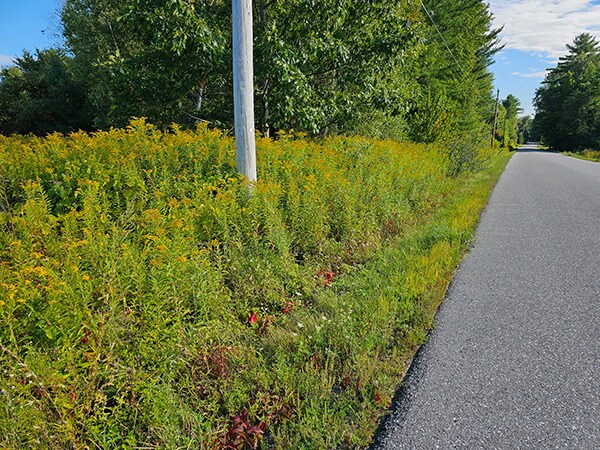 More Photos Of 0 Racine Rd, Milton Land For Sale
