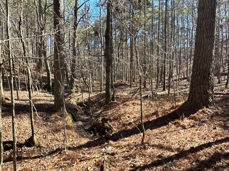 More Photos Of 3472 Prior Station Rd, Cedartown Land For Sale