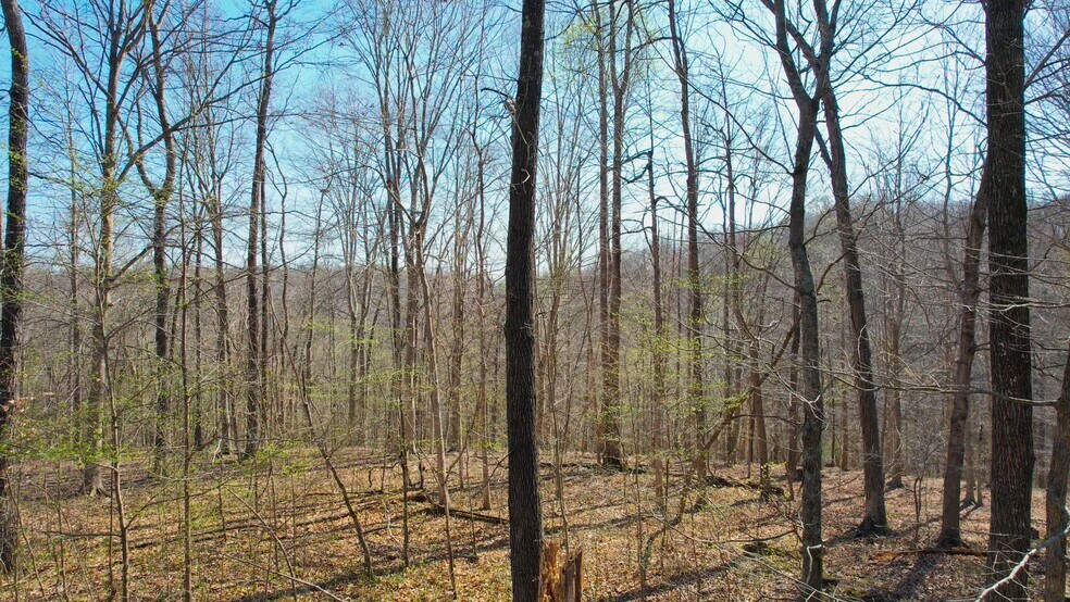 Primary Photo Of , Clarksville Land For Sale