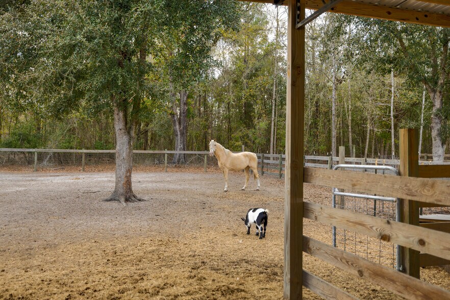More Photos Of 6012 Long Branch Rd, Jacksonville Horse Stables For Sale