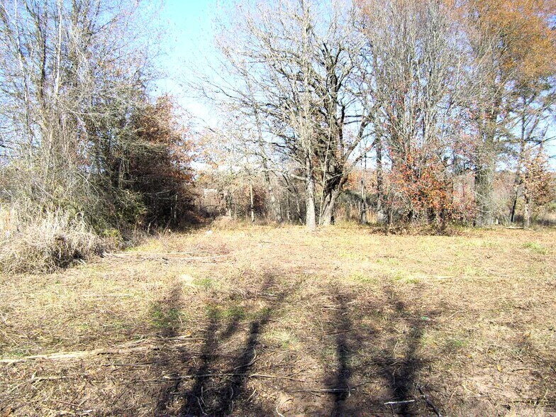 More Photos Of 680 U. S. 71 Hwy, Ashdown Land For Sale