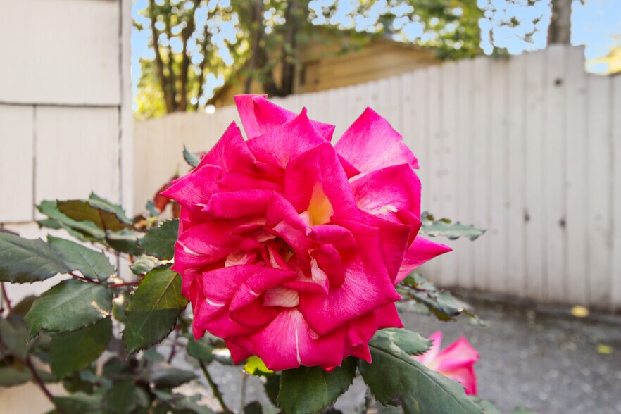 More Photos Of 745 F St, Davis Apartments For Sale