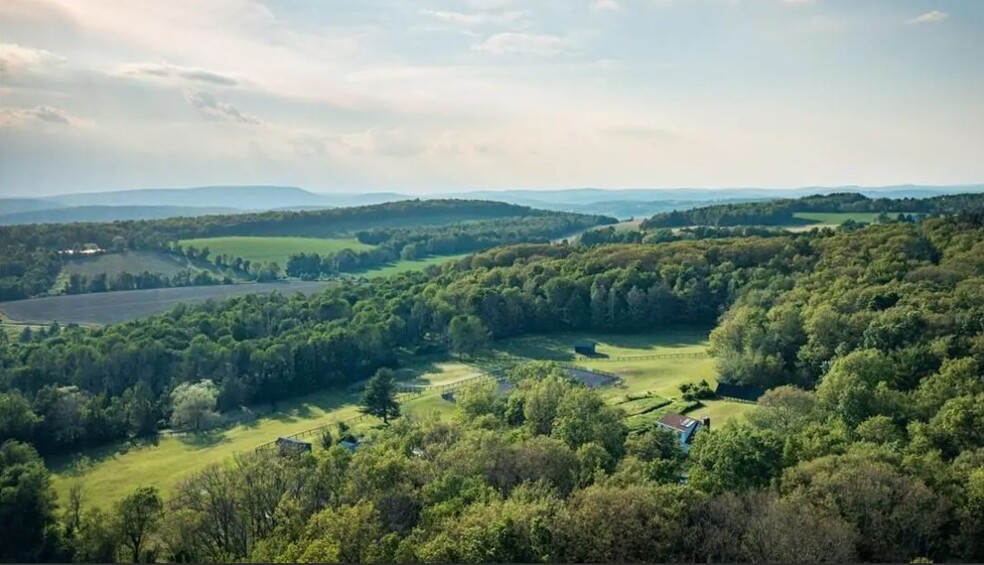 Primary Photo Of 5 Homestead Farm Ln, Millerton Specialty For Sale