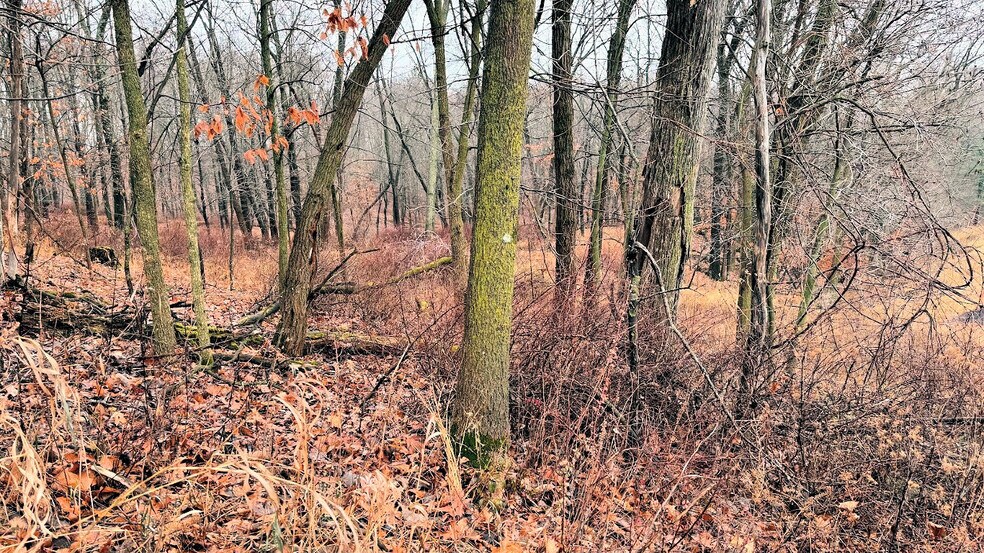 More Photos Of Lots 1-2 County A rd, Wisconsin Dells Land For Sale