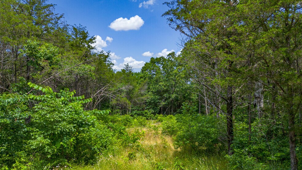 More Photos Of 19135 US 62, Eureka Springs Land For Sale
