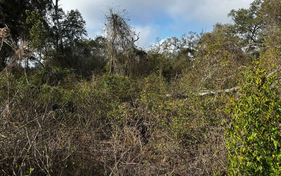 More Photos Of TBD 59th Dr, Wellborn Land For Sale