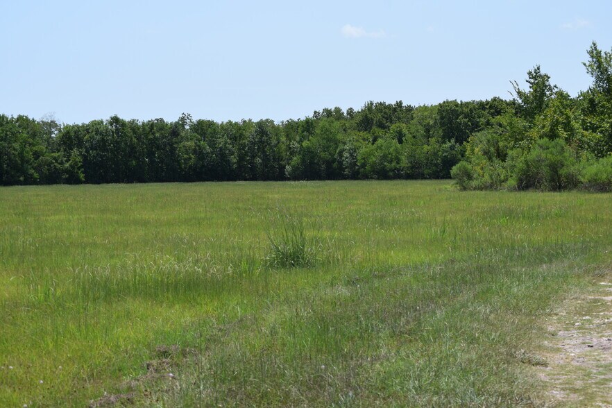 More Photos Of 9621 FM 521, Rosharon Land For Sale