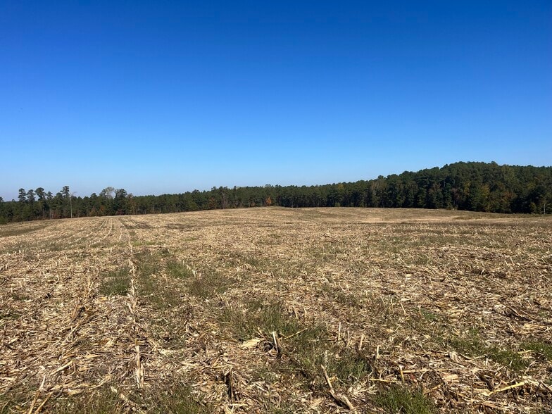 More Photos Of 15894 NC 24-27 Hwy, Eagle Springs Land For Sale