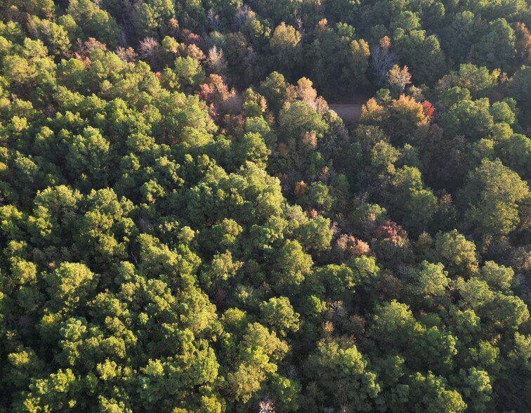 More Photos Of TBD Miller County 32, Doddridge Land For Sale