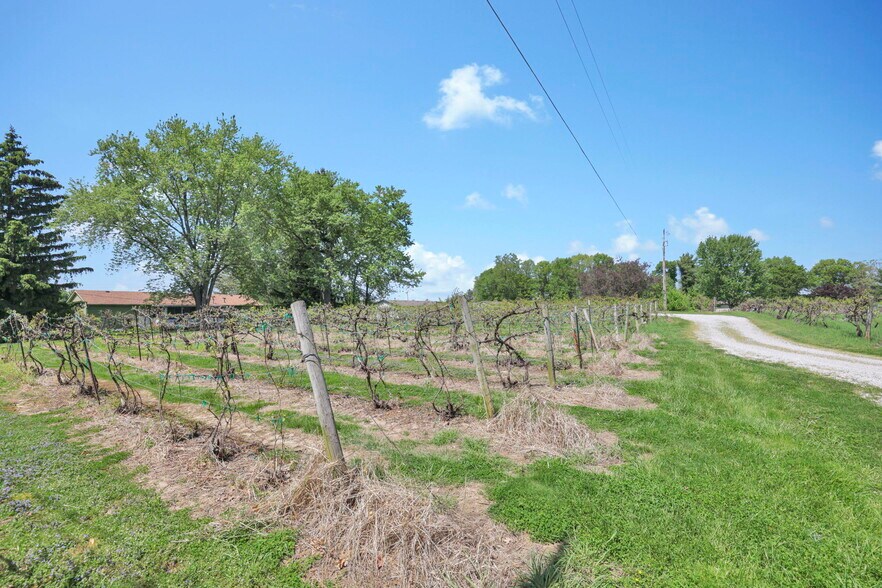 More Photos Of 1900 Winchester Southern Rd, Canal Winchester Winery Vineyard For Sale