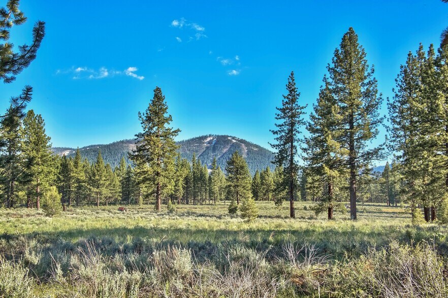 More Photos Of 9701 Highway 267 Hwy, Truckee Land For Sale