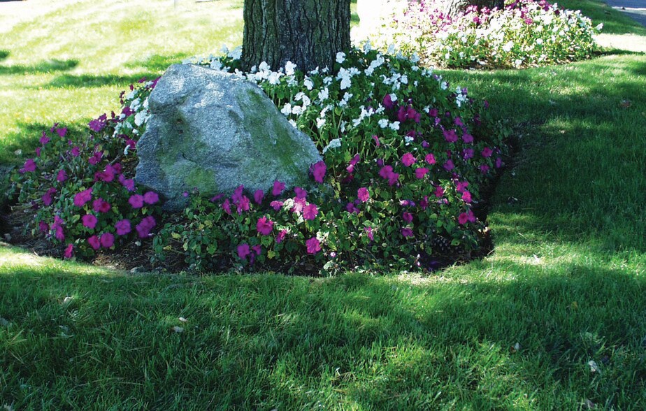 More Photos Of 599 North Ave, Wakefield Office For Lease